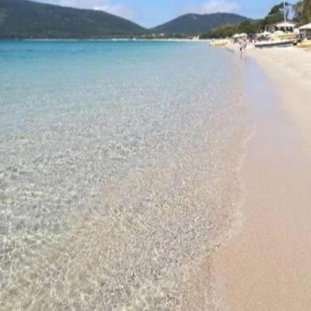 Camera Serraona アルゲーロ エクステリア 写真